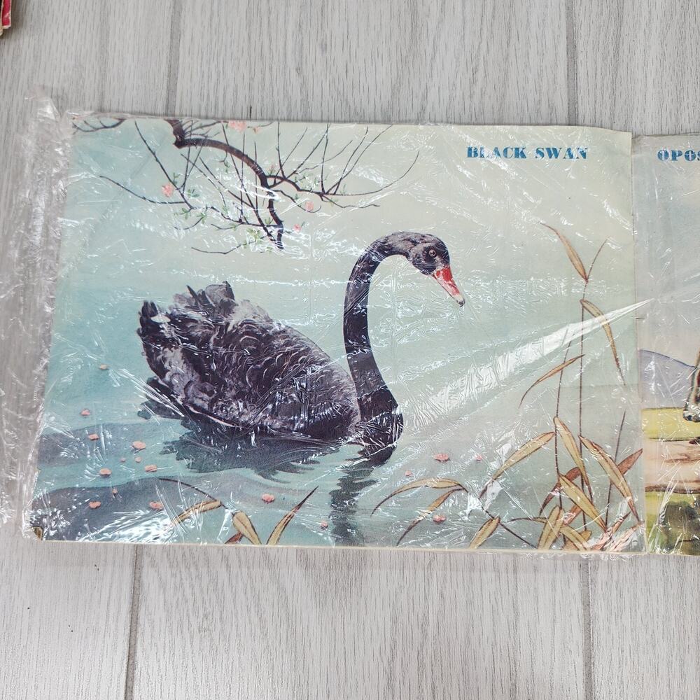 Vintage 1953 Australian Animals Children’s Book Photograpatures Illustrated - Picture 10 of 16
